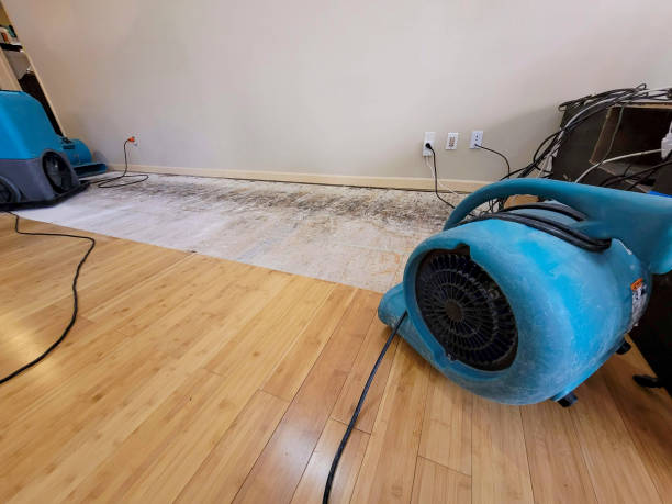 Professional Ceiling Water Damage Repair technician working in Spencer, NC